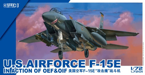 LION ROAR  1/72 USAF F15E in Action OEF & OIF Fighter