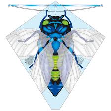 X Kites BuzzKite Cicada Poly Diamond Kite, 28 Inches Tall