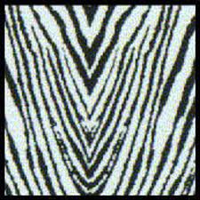 SCALE MOTORSPORT 1/24 Zebra Animal Hide on Clear Upholstery Pattern Decal
