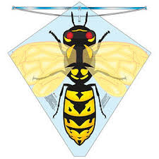 X Kites BuzzKite Hornet Poly Diamond Kite, 28 Inches Tall