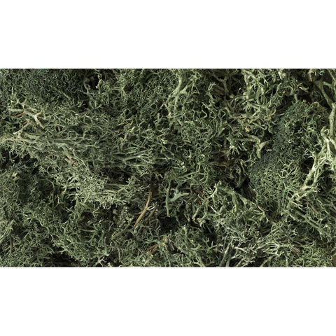 WOODLAND SCENICS Lichen Dark Green