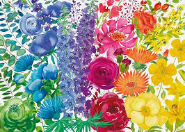 RAVENSBURGER 300-PIECE PUZZLE Floral Rainbow