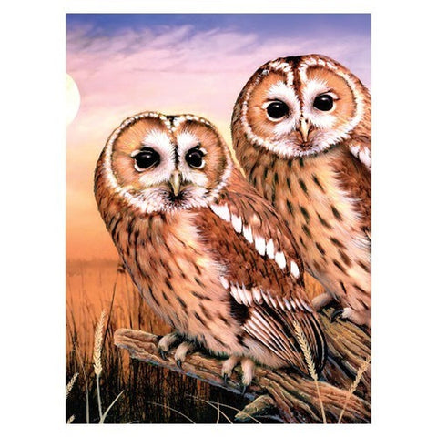 ROYLA&LANGNICKLE Tawny Owls Paint by Number Age 8+ (8.75"x11.75")