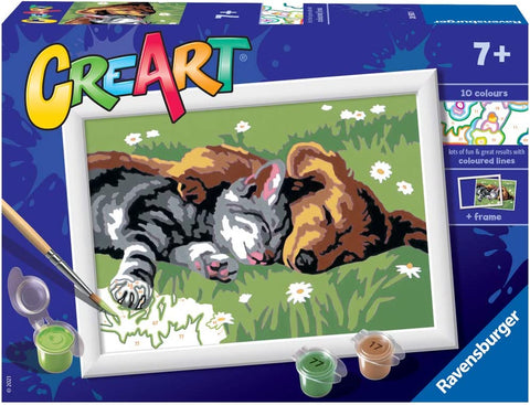 Sleeping Dog&Cat Paint by Numbers Kit