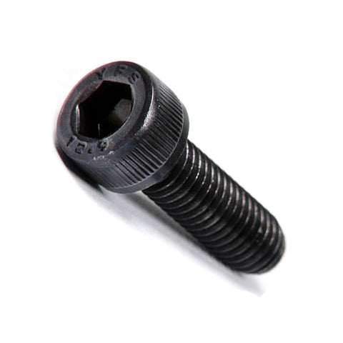 M3X25 SOCKET HEAD SCREW (10)