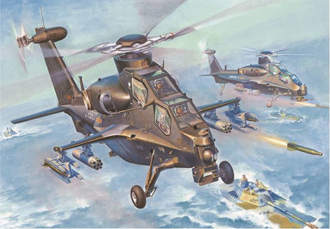 HOBBYBOSS 1/72 WZ -10 THUNDERBOLT
