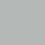 MISSION MODELS 1oz Aircraft Metallic Silver