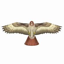 WindNSun SuperSize 2D Hawk  Nylon Kite, 71 Inches Wide