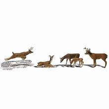 WOODLAND SCENICS O Figures: Deer