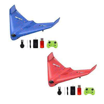 RC PRO 2.4G 2-Channels R/C Airplane