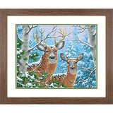 DIMENSIONS Whitetail Deer Winter Paint by Number (14"x11")