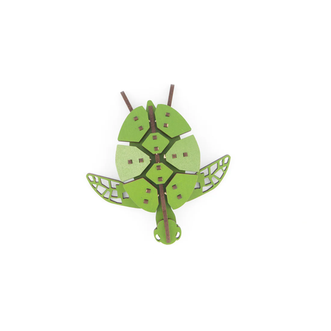 LITTLE WOOD Turtle  Medium
