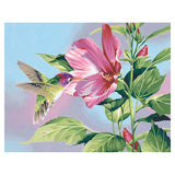 DIMENSIONS Hibiscus & Hummingbird Paint by Number (14"x11")