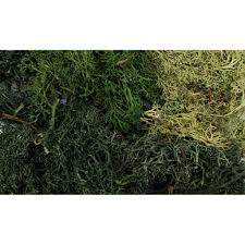 All Game Terrain: EZ Bushes Summer Mix