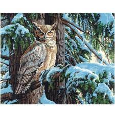DIMENSIONS  Great Horned Owl Sitting in Snow Covered Tree Paint by Number (20"x16")