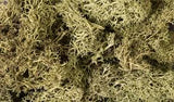 WOODLAND SCENICS Lichen: Spring Green (86.6 cu in. bag)