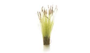 All Game Terrain: Peel 'N Plant Tufts Cattails