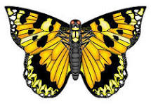 X Kites ButterFly Yellow