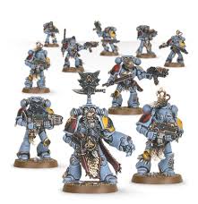 WARHAMMER Space Wolves: Grey Hunters