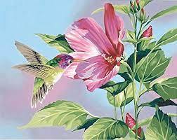 DIMENSIONS Hibiscus & Hummingbird Paint by Number (14"x11")