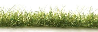 All Game Terrain: Peel 'N Plant Tufts Edging Dark Green