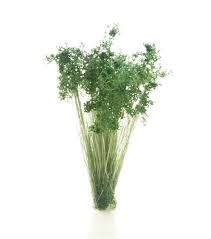 All Game Terrain: Peel 'N Plant Tufts Dark Green Shrubs