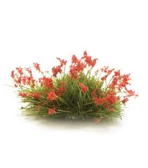 All Game Terrain: Peel 'N Plant Tufts Red Flowers