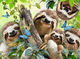 RAVENSBURGER 500-PIECE PUZZLE Sloth Selfie