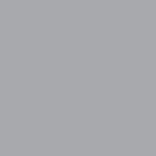 TRU COLOR ACRYLIC  PAINT CONCRETE 1 OZ