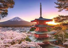 RAVENSBURGER 1000-PIECE PUZZLE Mount Fuji Cherry Blossom View