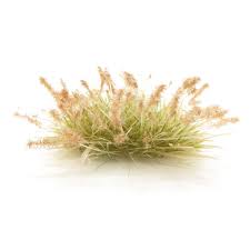 All Game Terrain: Peel 'N Plant Tufts Brown Seed