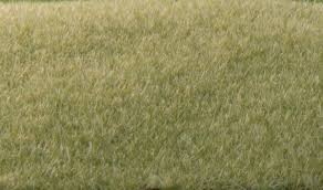WOODLAND SCENICS  Static Grass Light Green 2mm
