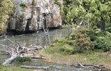 WOODLAND SCENICS Dead Fall