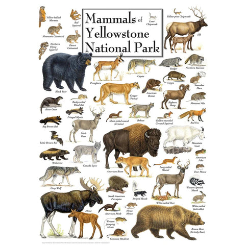 MASTER PIECES 1000-PIECE PUZZLE Mammals of Yellowstone