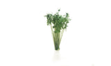 ALL GAME TERRAIN Peel 'n' Plant Tufts: Dark Green Shrubs (20 pk)