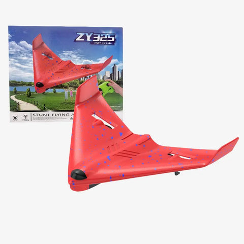 RC PRO 2.4G 2-Channels R/C Airplane