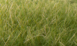 WOODLAND SCENICS Static Grass: Medium Green, 12 mm