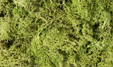 WOODLAND SCENICS Lichen: Light Green (86.6 cu in. bag)