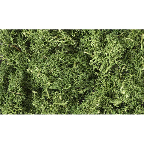 WOODLAND SCENICS Lichen: Medium Green (86.6 cu in. bag)