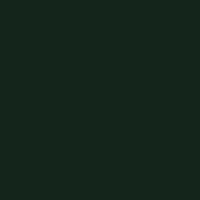 TRU COLOR ACRYLIC PAINT 1OZ NP DARK GREEN