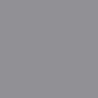 TRU COLOR ACRYLIC PAINT 1OZ SILVER