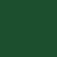 TRU COLOR ACRYLIC  PAINT 1OZ REA GREEN 1 OZ