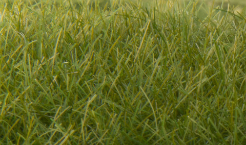 WOODLAND SCENICS Static Grass: Dark Green, 12 mm