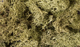WOODLAND SCENICS Lichen: Spring Green (86.6 cu in. bag)