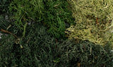 ALL GAME TERRAIN EZ Bushes: Summer Mix