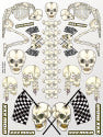 XXX MAIN RACING Skeletons Sticker Sheet