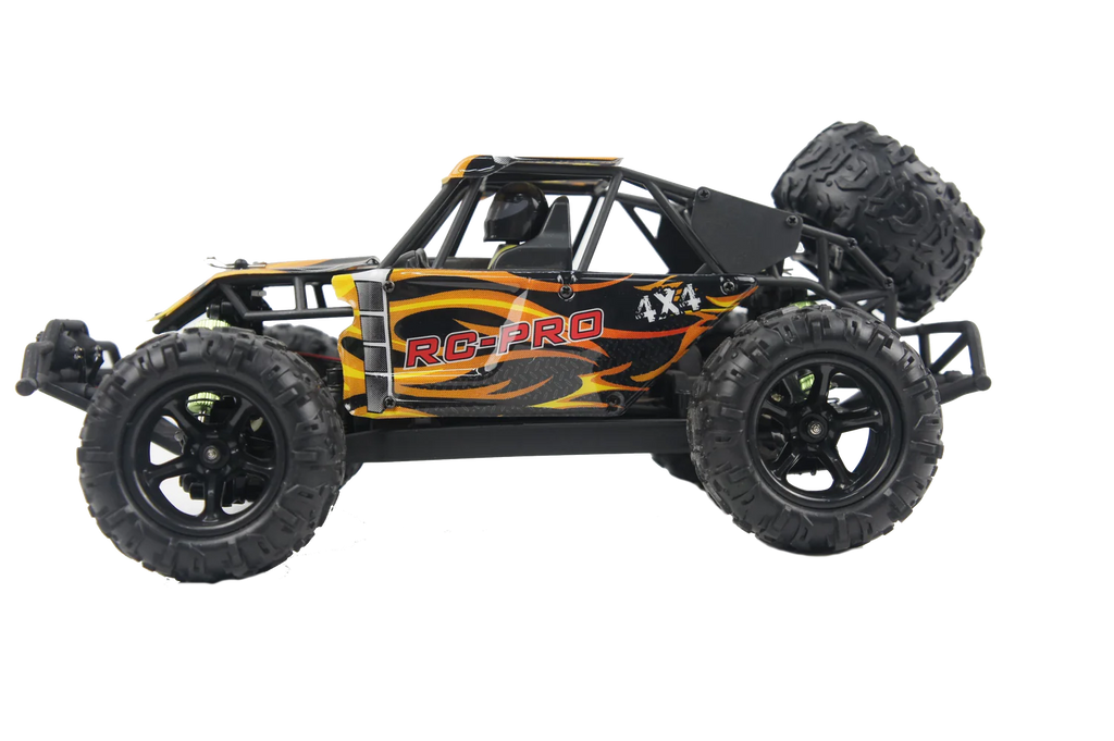 RC PRO RIZZ Upgraded 4x4 brushless side-by-side – Tammies Hobbies