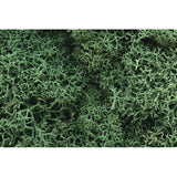 WOODLAND SCENICS Lichen: Light Green (86.6 cu in. bag)