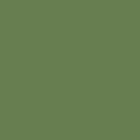 MISSION MODELS 1oz US Interior Green