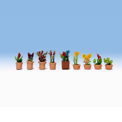 N ORNAMENTAL PLANTS (9)